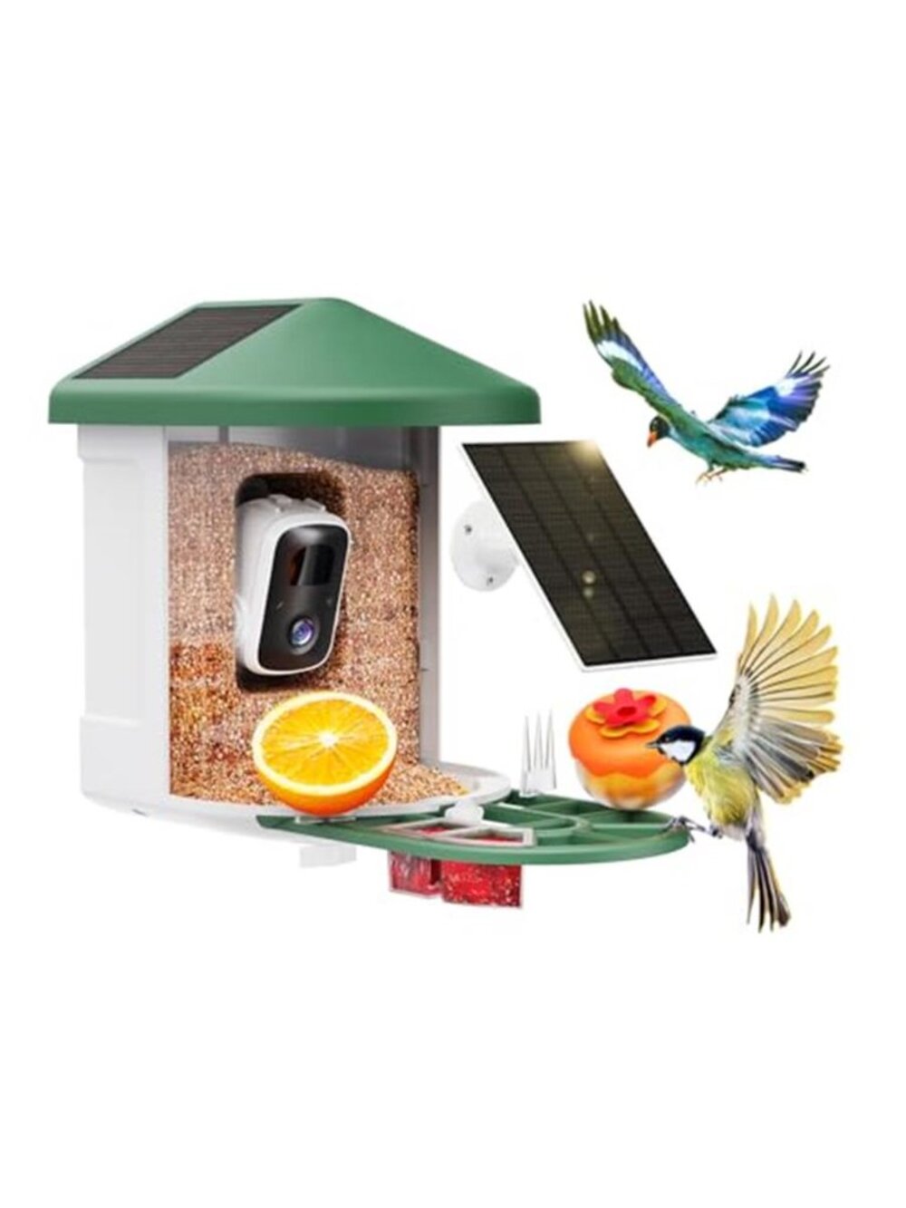 New Bird Feeder with Camera with AI Identify Birds Species Solar Powered